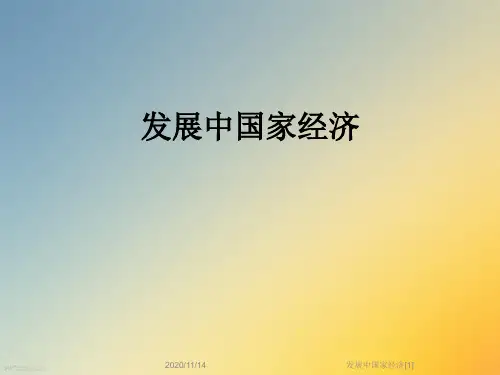 发展中国家经济[1]