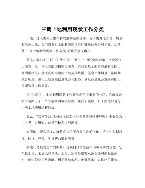 三调土地利用现状工作分类