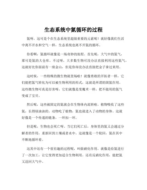 生态系统中氮循环的过程