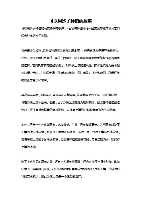 可以用沙子种植的蔬菜
