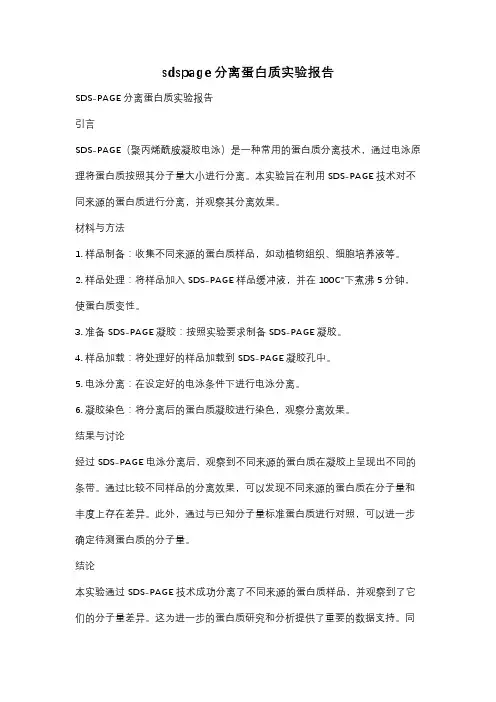 sdspage分离蛋白质实验报告