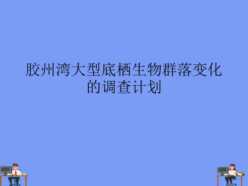 (2021)胶州湾大型底栖生物群落变化的调查计划完美版PPT