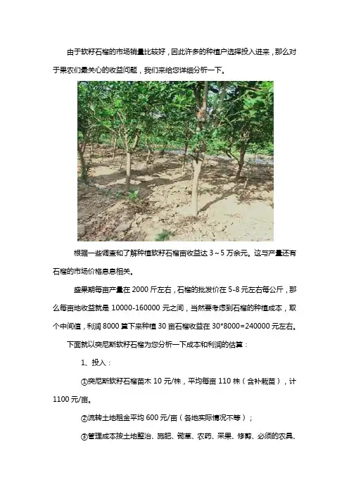 种植30亩软籽石榴收益多少