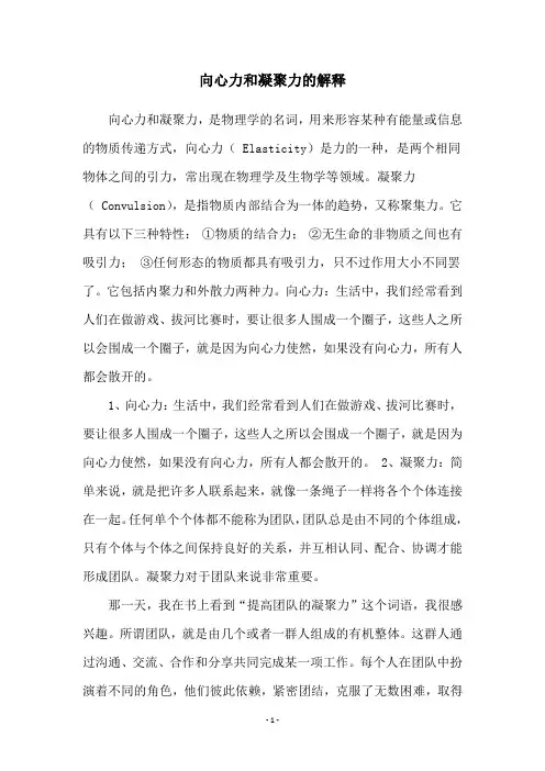 向心力和凝聚力的解释