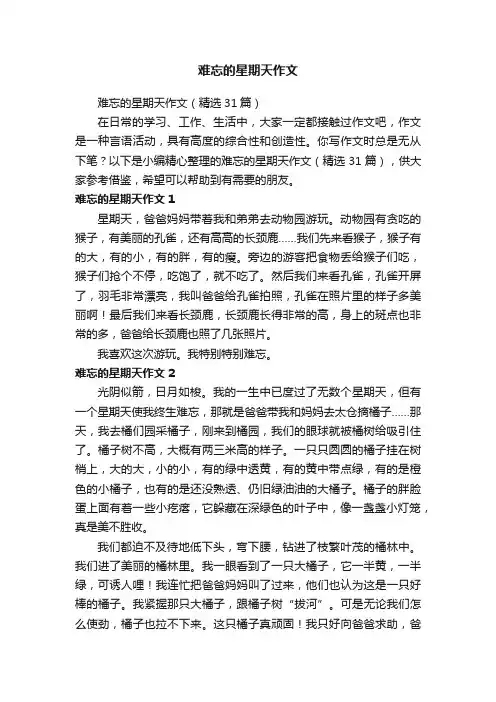 难忘的星期天作文