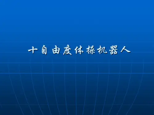 十自由度体操机器人.ppt