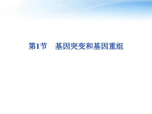 【优化方案】2012高中生物 第5章第1节基因突变和基因重组课件 新人教版必修2