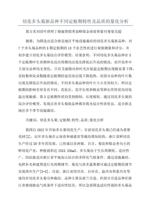 切花多头菊新品种不同定植期特性及品质的量化分析