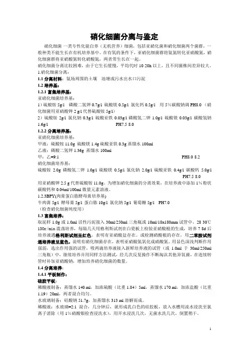 硝化细菌分离与鉴定