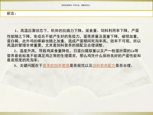 夏季蛋鸡饲养管理及营养配方调整