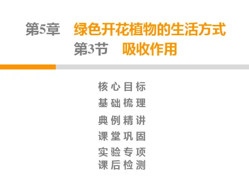 生物北师大版七年级上册第3单元第5章第3节吸收作用 PPT课件