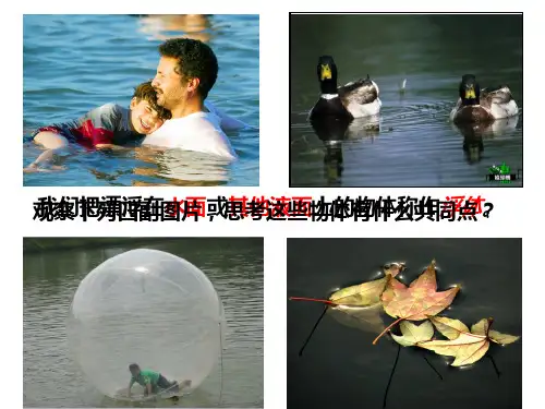 华东师大版初中科学八上浮力 (6)
