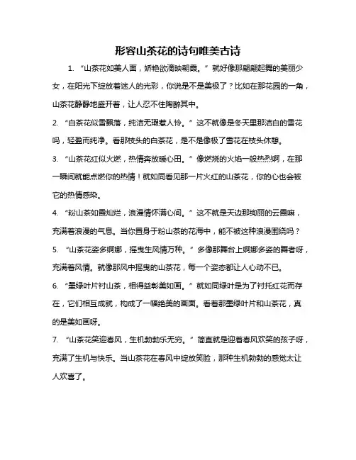 形容山茶花的诗句唯美古诗
