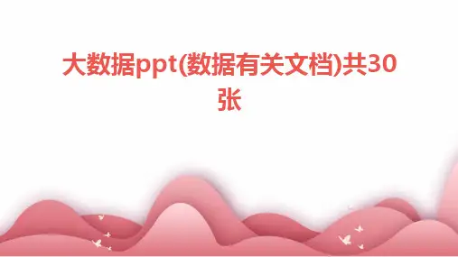 大数据ppt(数据有关文档)共30张