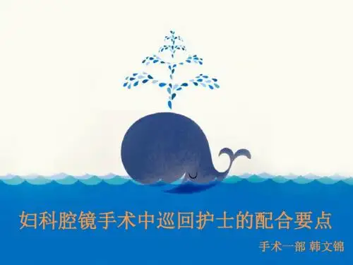 妇科腔镜手术巡回配合