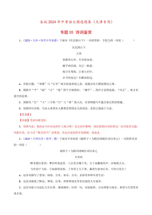 专题05诗词鉴赏-2024年中考语文精选题集