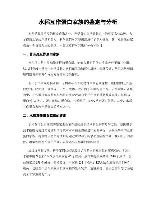 水稻互作蛋白家族的鉴定与分析