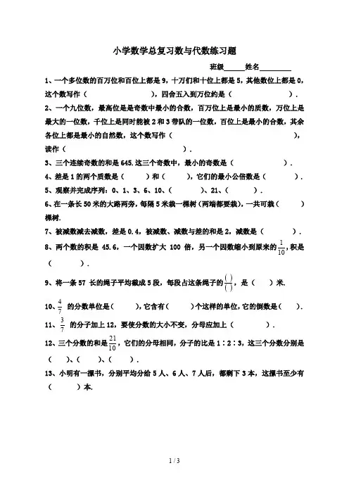 最新小学数学总复习数与代数练习题
