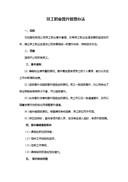 职业通道与晋升管理办法
