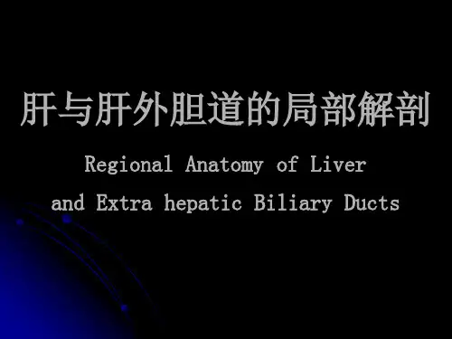 肝与肝外胆道的局部解剖课件