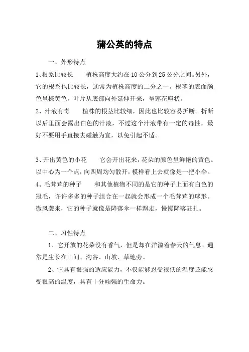 蒲公英的特点