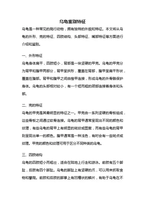 乌龟鉴别特征