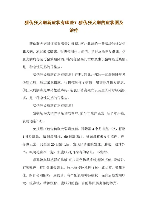 猪伪狂犬病--新症状有哪些？猪伪狂犬病的症状图及治疗