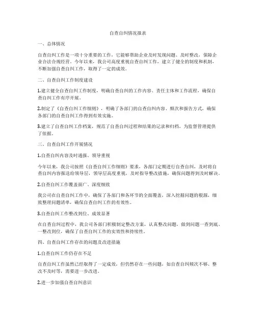自查自纠情况报表