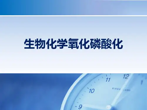 生物化学氧化磷酸化 PPT