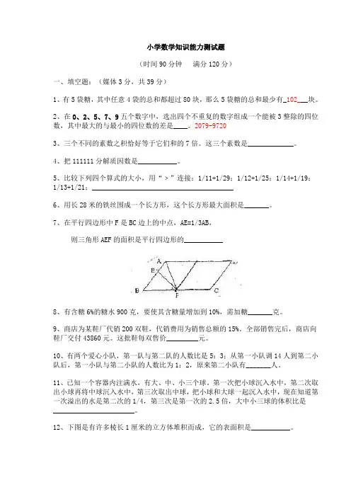小学数学知识能力测试题