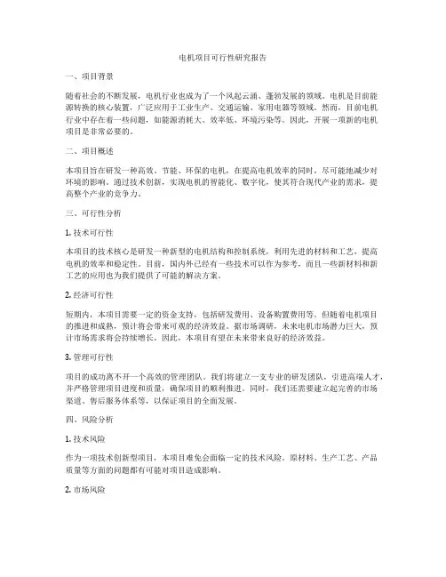 电机项目可行性研究报告