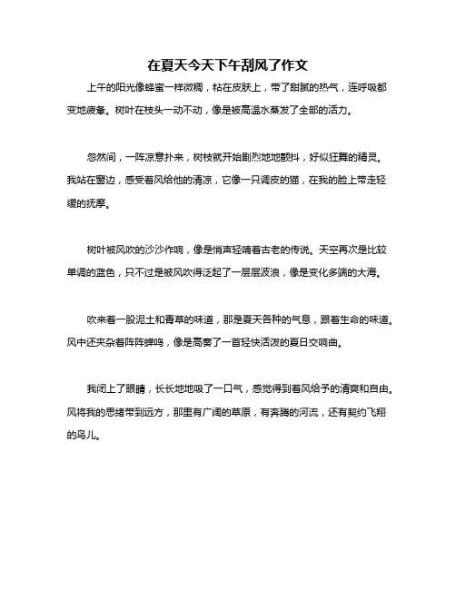 在夏天今天下午刮风了作文