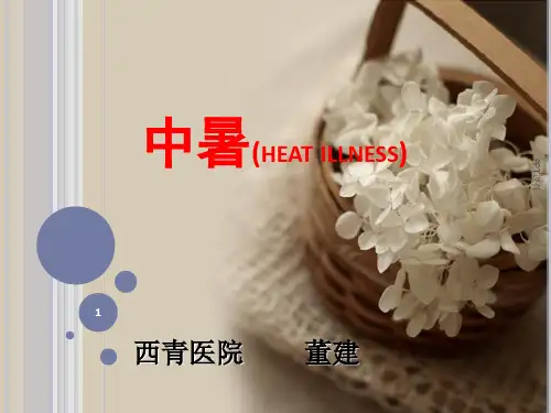 中暑  ppt课件
