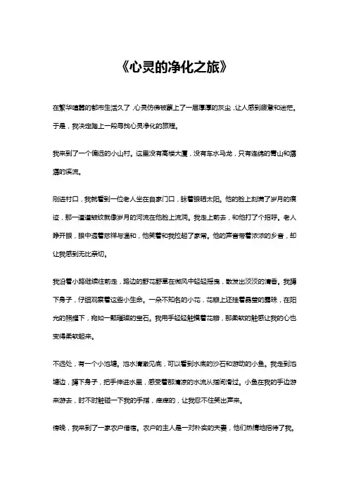 心灵的净化之旅作文