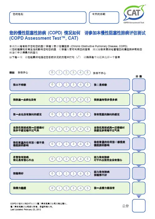 CAT评分