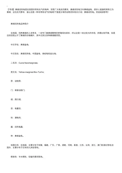 动物百科知识介绍：黄缘闭壳龟