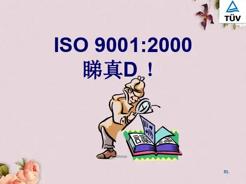 ISO 9001-2000转版说明(PPT 82页)