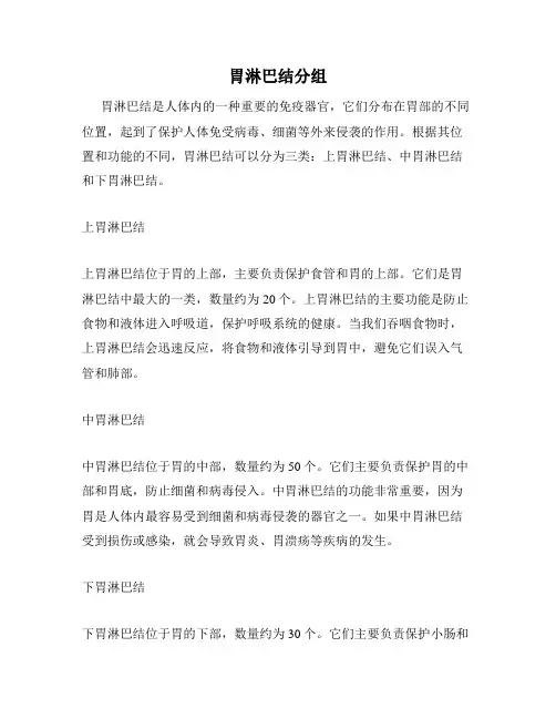 胃淋巴结分组