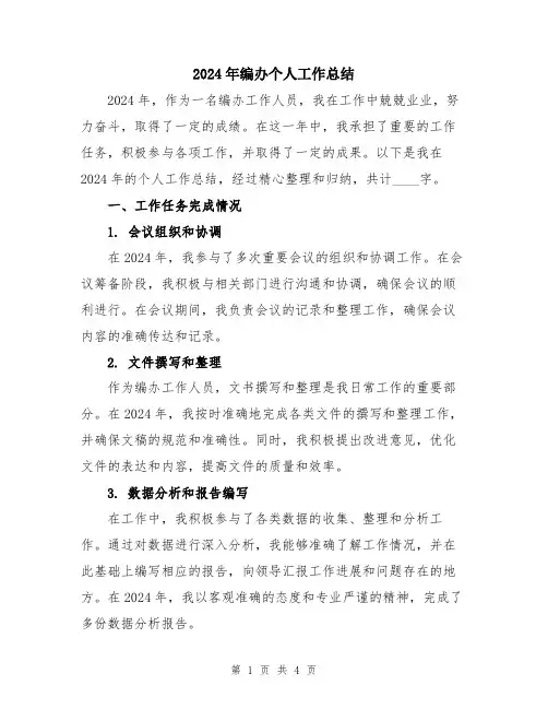 2024年编办个人工作总结