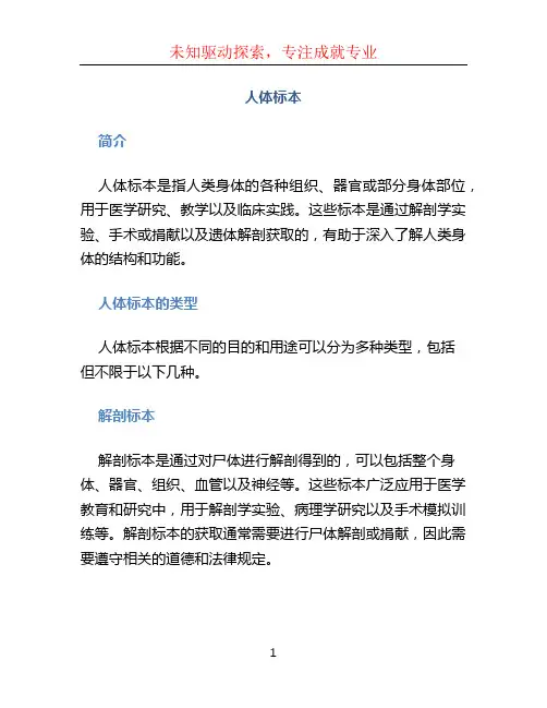 人体标本 (2)