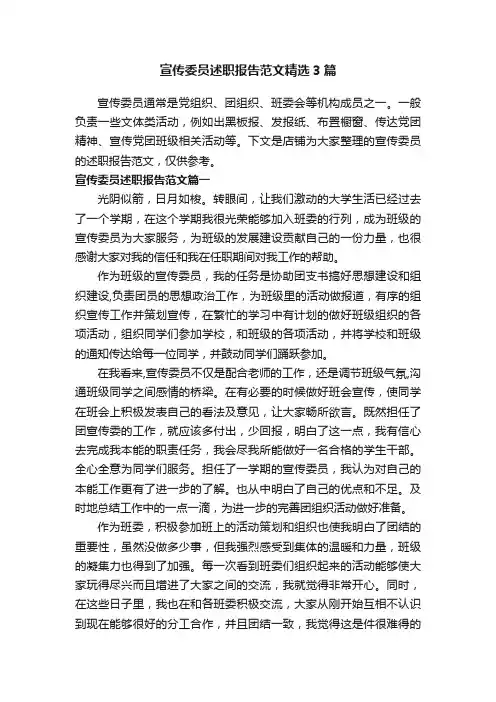 宣传委员述职报告范文精选3篇