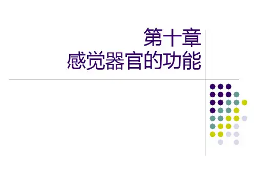 感觉器官