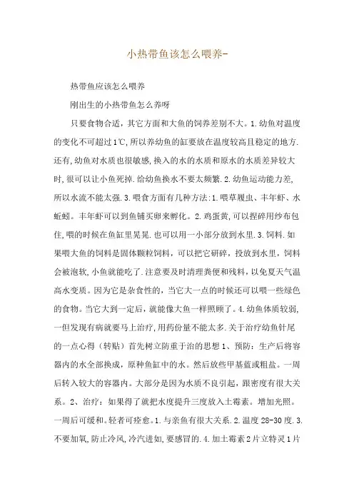 小热带鱼该怎么喂养--热带鱼应该怎么喂养