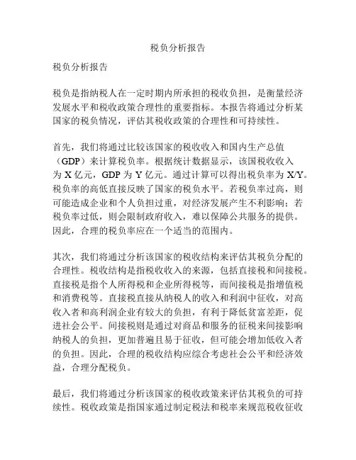 税负分析报告