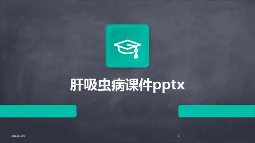 肝吸虫病课件pptx(2024)