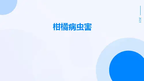 柑橘病虫害