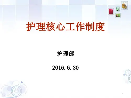 护理核心制度培训精品PPT课件
