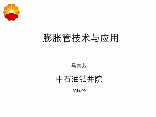 膨胀管技术与应用培训讲义PPT图文并茂