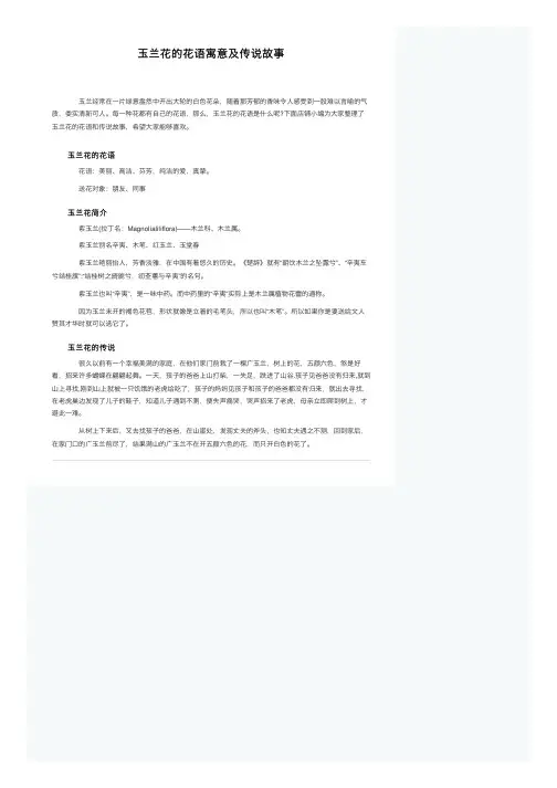 玉兰花的花语寓意及传说故事