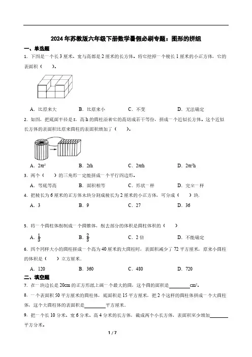 2024年苏教版六年级下册数学暑假必刷专题：图形的拼组(含答案)